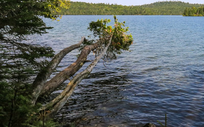 View of Washington Harbor from along the Grace Creek Overlook Trail in Isle Royale National Park