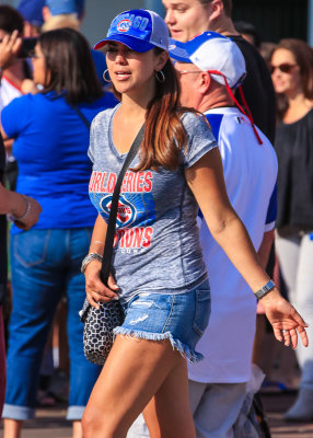 Chicago Cubs fan at Wrigley Field