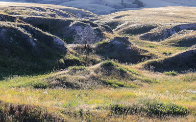 Late afternoon sun on the badlands in Scotts Bluff National Monument