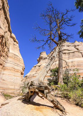 View along the Slot Canyon Trail in Kasha-Katuwe Tent Rocks National Monument