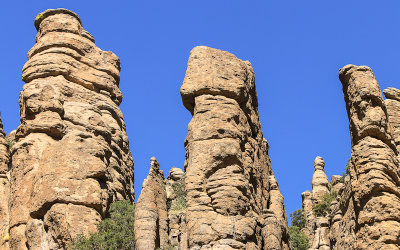 Detail of the Organ Pipe Formation along the Bonita Canyon Drive in Chiricahua National Monument 