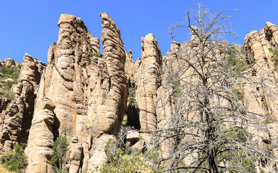 View of the Organ Pipe Formation along the Bonita Canyon Drive in Chiricahua National Monument