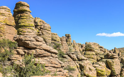 Hillside along the Echo Canyon Trail in Chiricahua National Monument