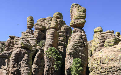 Balanced rock columns along the Echo Canyon Trail in Chiricahua National Monument