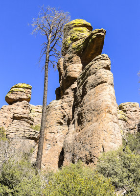 Echo Park formation along the Echo Canyon Trail in Chiricahua National Monument