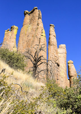 Towering rock formation along the Ed Riggs Trail in Chiricahua National Monument