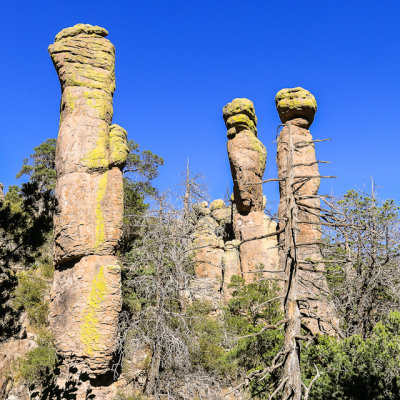 Balanced rocks along the Ed Riggs Trail in Chiricahua National Monument
