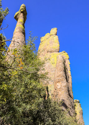 Rock formations along the Ed Riggs Trail in Chiricahua National Monument