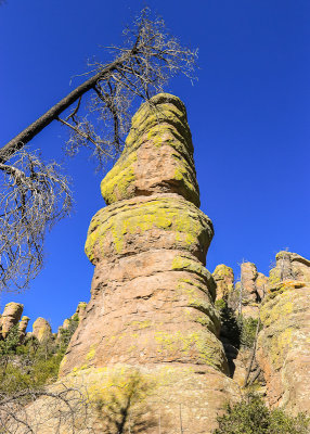 Large rock formation along the Ed Riggs Trail in Chiricahua National Monument