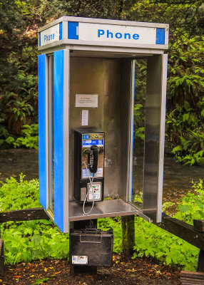 Seldom seen phone booth, with how-to-use instructions, in Muir Woods National Monument