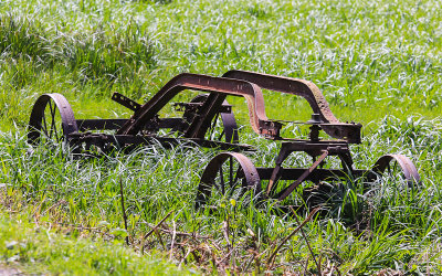 Old farm plow rusting in a field near Redwood National Park in California