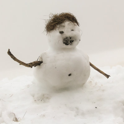 Strange snowman at the Hurricane Ridge Visitor Center in Olympic National Park