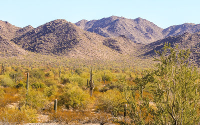 South Maricopa Mountain Wilderness area in Sonoran Desert National Monument