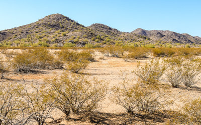 North Maricopa Mountain Wilderness in Sonoran Desert National Monument