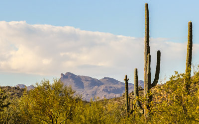 Sonoran Desert NM – Arizona (2017)