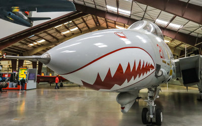Nosecone of the Grumman F-14A Tomcat (1974-2006) at the Pima Air & Space Museum
