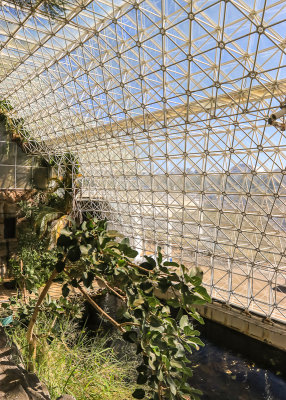 Looking outward from the Ocean building at Biosphere2