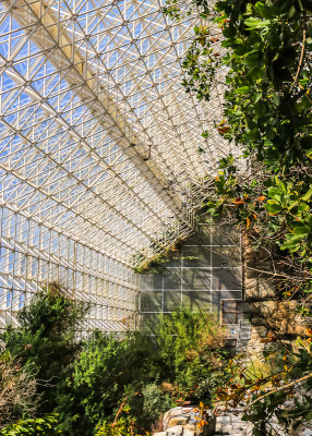 Trees and plants in the Ocean building at Biosphere2