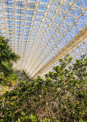 Long view of the Ocean building at Biosphere2