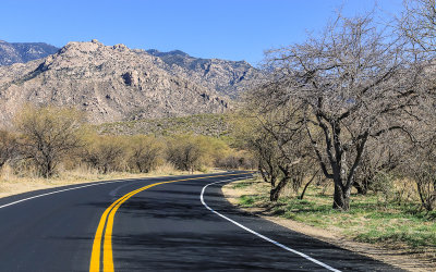 The park road winds through Catalina State Park 