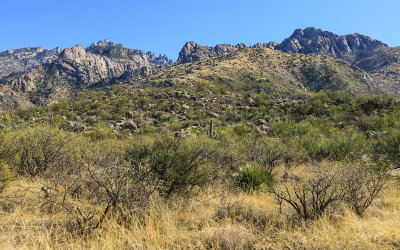 The Catalina Mountain range in Catalina State Park
