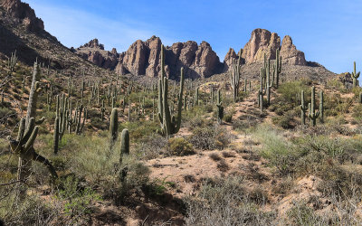 Mountain peaks along the Apache Trail Scenic Byway in Tonto National Forest