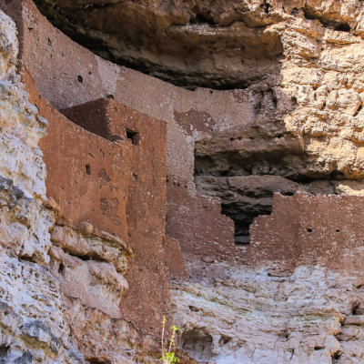 Late day view of the cliff dwelling in Montezuma Castle National Monument