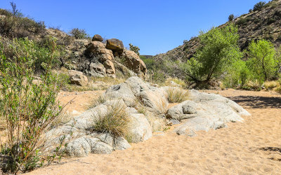 The Badger Springs Trail along the dry riverbed in Agua Fria National Monument 