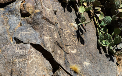 Upper petroglyphs along the Badger Springs Trail in Agua Fria National Monument