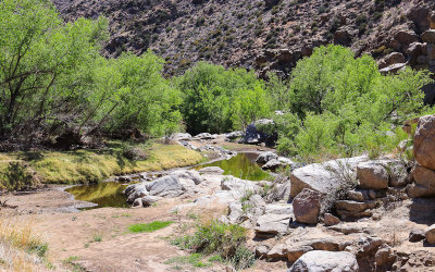 The Agua Fria River along the Badger Springs Trail in Agua Fria National Monument