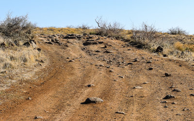 The road less traveled; BLM Road 9023 to Pueblo la Plata in Agua Fria National Monument
