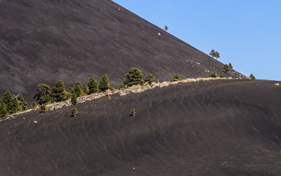 The confluence of two cinder dunes in Sunset Crater Volcano National Monument