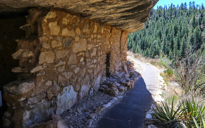 Island Trail cliff dwellings in Walnut Canyon National Monument