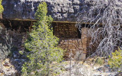 Rim cliff dwelling across the canyon from the Island in Walnut Canyon National Monument