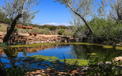 Spring fed pond in Pipe Springs National Monument