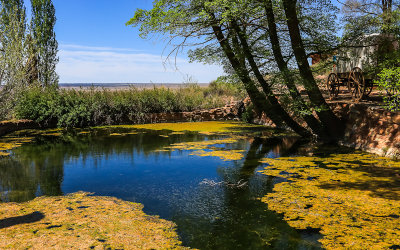 Pipe Spring fed pond in Pipe Springs National Monument