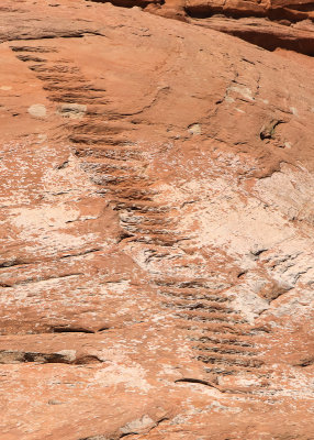 Stairs chiseled by miners in Glen Canyon NRA