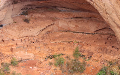 Wide view of cliff face Betatakin dwellings in Navajo National Monument