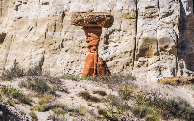 View of a cap-rock formation from below along the Toadstools Trail in Grand Staircase-Escalante NM