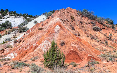 Hillside along the Cottonwood Road in Grand Staircase-Escalante NM