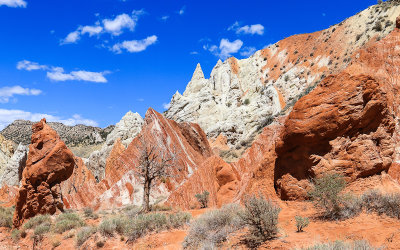 Colorful canyon along the Cottonwood Road in Grand Staircase-Escalante NM