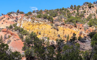 Bright yellow rock formation along the Cottonwood Road in Grand Staircase-Escalante NM