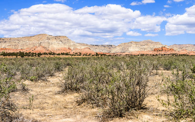 Landscape along the upper Cottonwood Road in Grand Staircase-Escalante NM