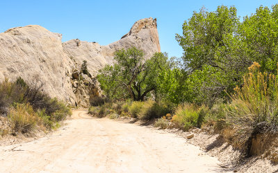 The Cottonwood Road near Lower Hackberry in Grand Staircase-Escalante NM