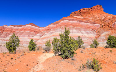 Colorful hillsides along the Paria Road in Grand Staircase-Escalante NM