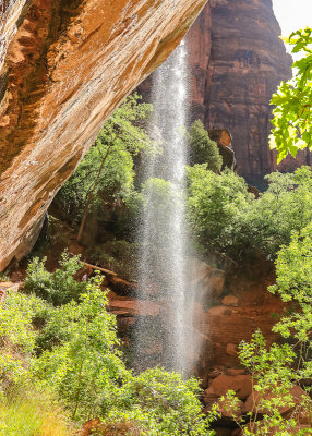 Waterfall along the Emerald Pools Trail in Zion National Park