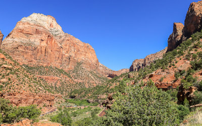 View along the Zion-Mount Carmel Highway in Zion National Park