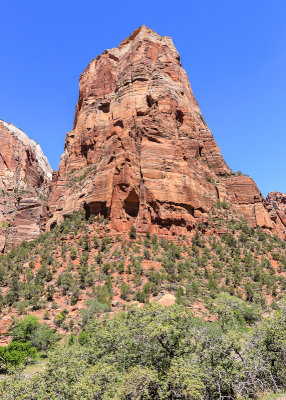 Peak along the Zion Canyon Scenic Drive in Zion National Park