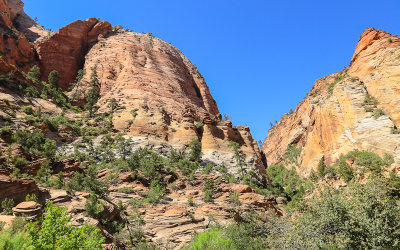View along the Zion-Mount Carmel Highway in Zion National Park