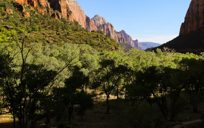 Late afternoon view south through Zion Canyon from The Grotto in Zion National Park